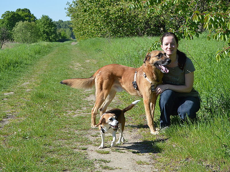 Hundetraining in Wandlitz mit Franziska Burde